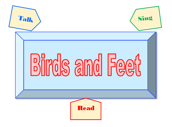 Birds Feet