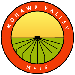 Mohawk Valley METS logo