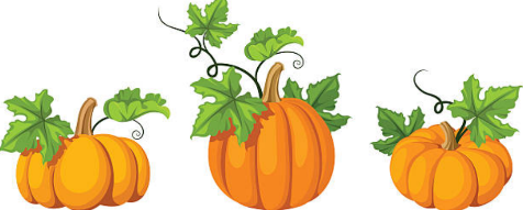 3 pumpkins image