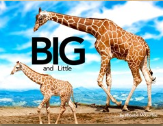 Big and Little Example