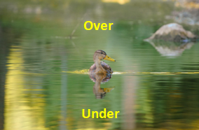 Preposition example with a duck- over and under