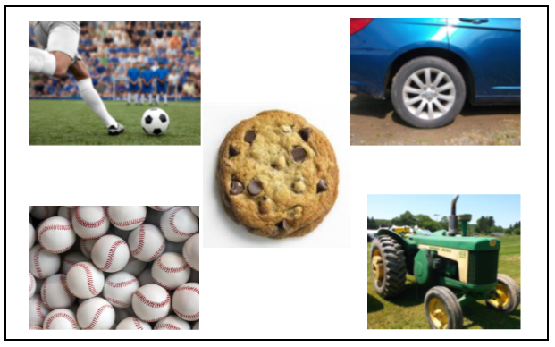 Examples of circles in a collage