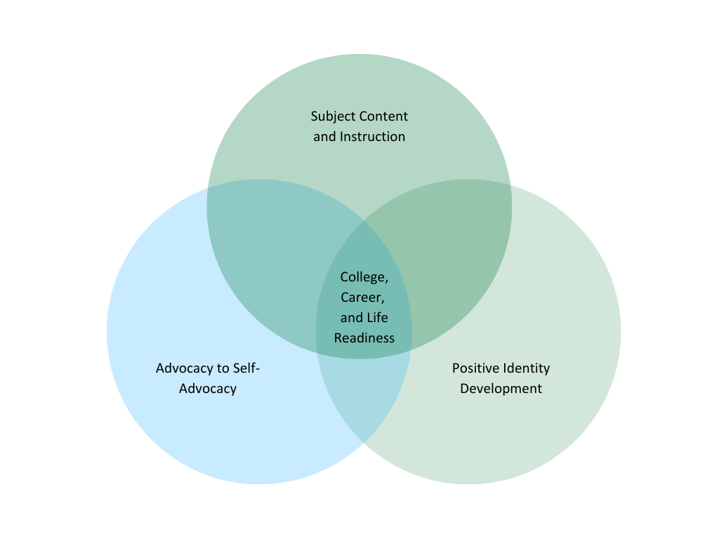 Venn Diagram for NYS-MEP's Theory of Action