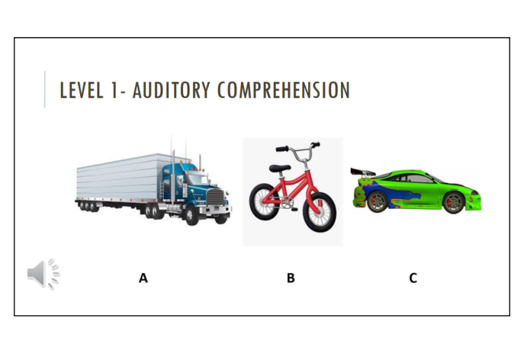 Test Example Question